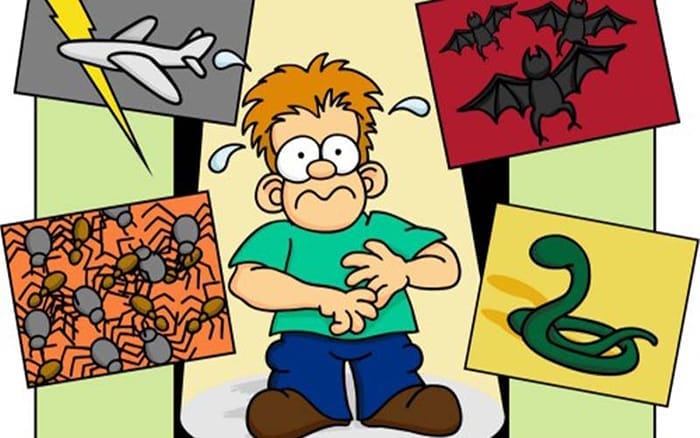 categories of specific phobias