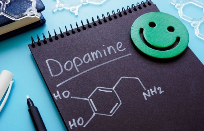 What is dopamine?