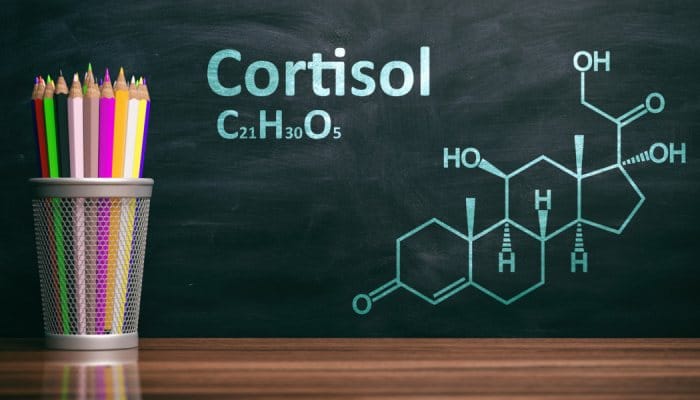 Cortisol