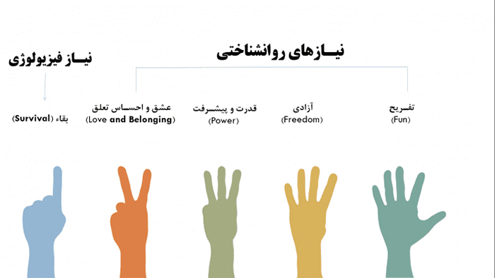 تفسیر نتایج پرسشنامه نیازهای اساسی گلاسر